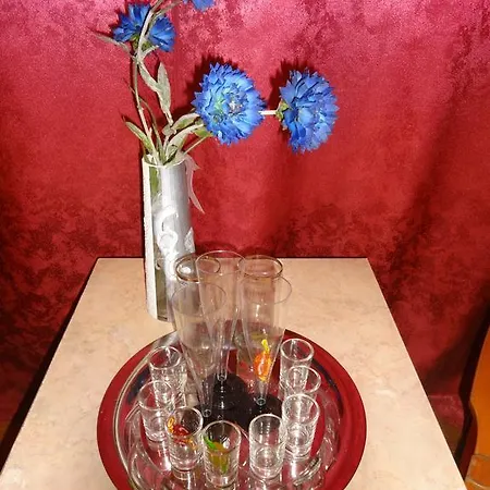 Apartament Tatyana V Centre